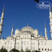 фото из отзыва ID 1102495