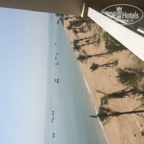 фото из отзыва ID 1103546