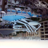 фото из отзыва ID 1103764