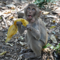 фото из отзыва ID 1102553