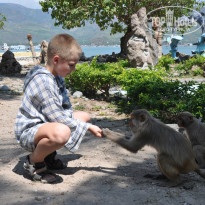 фото из отзыва ID 1102553