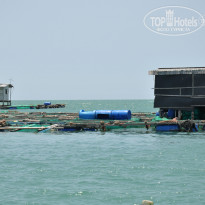 фото из отзыва ID 1102553