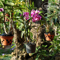 фото из отзыва ID 1102553