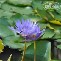 фото из отзыва ID 1102553