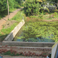 фото из отзыва ID 1103895