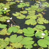 фото из отзыва ID 1103895