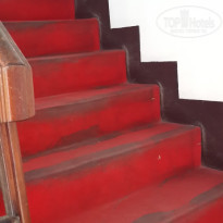 фото из отзыва ID 1104092