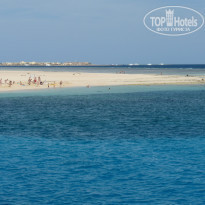 фото из отзыва ID 1102425