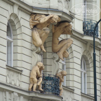 фото из отзыва ID 1104244