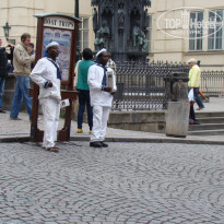 фото из отзыва ID 1104244