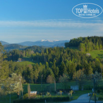 фото из отзыва ID 1104322