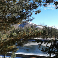 фото из отзыва ID 1104372