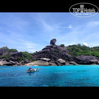 фото из отзыва ID 1102930