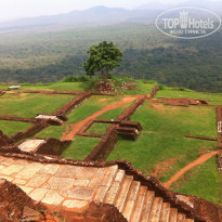 фото из отзыва ID 1104605