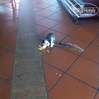 фото из отзыва ID 1104605