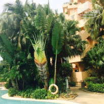 фото из отзыва ID 1104689