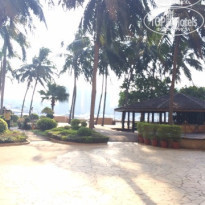 фото из отзыва ID 1104689