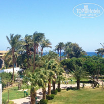 фото из отзыва ID 1105182