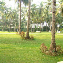 фото из отзыва ID 1105187