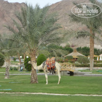 фото из отзыва ID 1105243