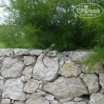 фото из отзыва ID 1105315