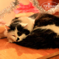 фото из отзыва ID 1105391