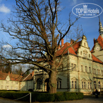 фото из отзыва ID 1105391