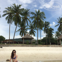 фото из отзыва ID 1105396