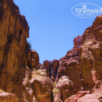 фото из отзыва ID 1105428