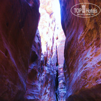 фото из отзыва ID 1105428