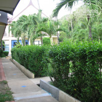 фото из отзыва ID 1105439