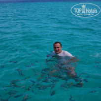 фото из отзыва ID 1105493