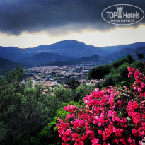 фото из отзыва ID 1105582