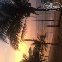 фото из отзыва ID 1105849