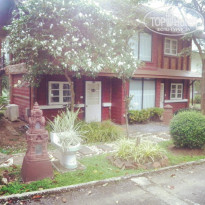 фото из отзыва ID 1106082