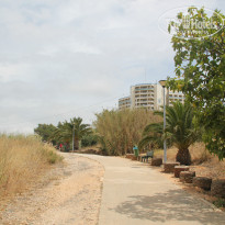 фото из отзыва ID 1106115