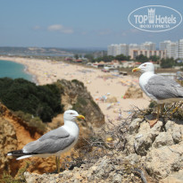 фото из отзыва ID 1106115