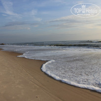 фото из отзыва ID 1106330