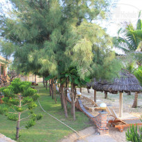 фото из отзыва ID 1106330