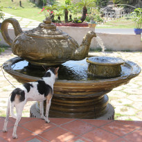 фото из отзыва ID 1106330