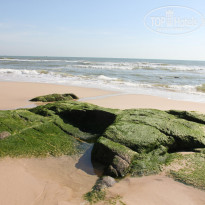 фото из отзыва ID 1106330