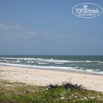 фото из отзыва ID 1106330