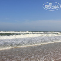 фото из отзыва ID 1106330