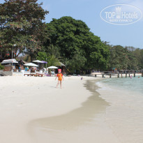 фото из отзыва ID 1106353