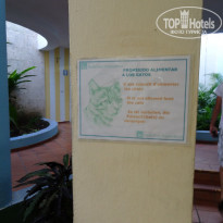 фото из отзыва ID 1106659