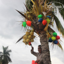 фото из отзыва ID 1106678