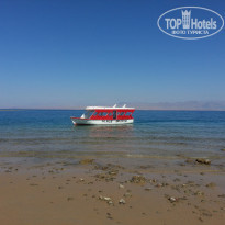 фото из отзыва ID 1106700