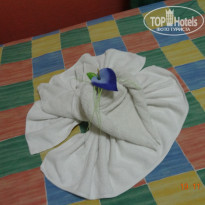 фото из отзыва ID 1107047