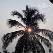 фото из отзыва ID 1107100