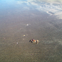 фото из отзыва ID 1107100